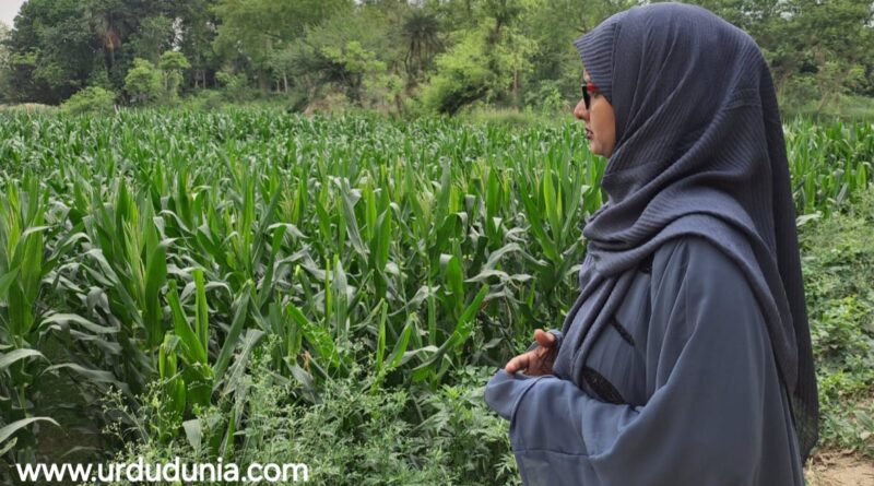 اگر کوئی شخص زبردستی کرتا ہے زمین قبضہ تو اسے فوری طور پر کیا جائےگا گرفتار